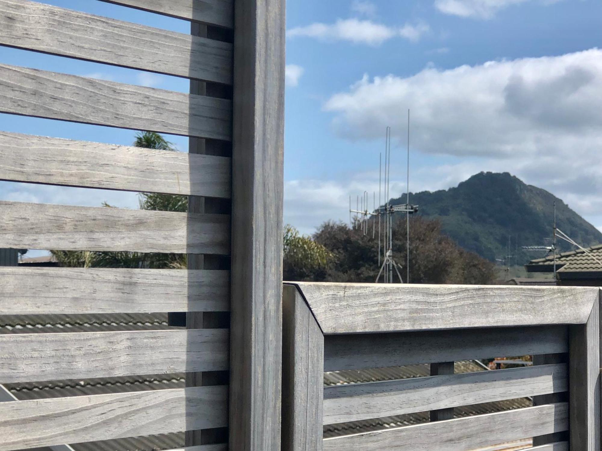 Seagulls Guesthouse Mount Maunganui Bilik gambar