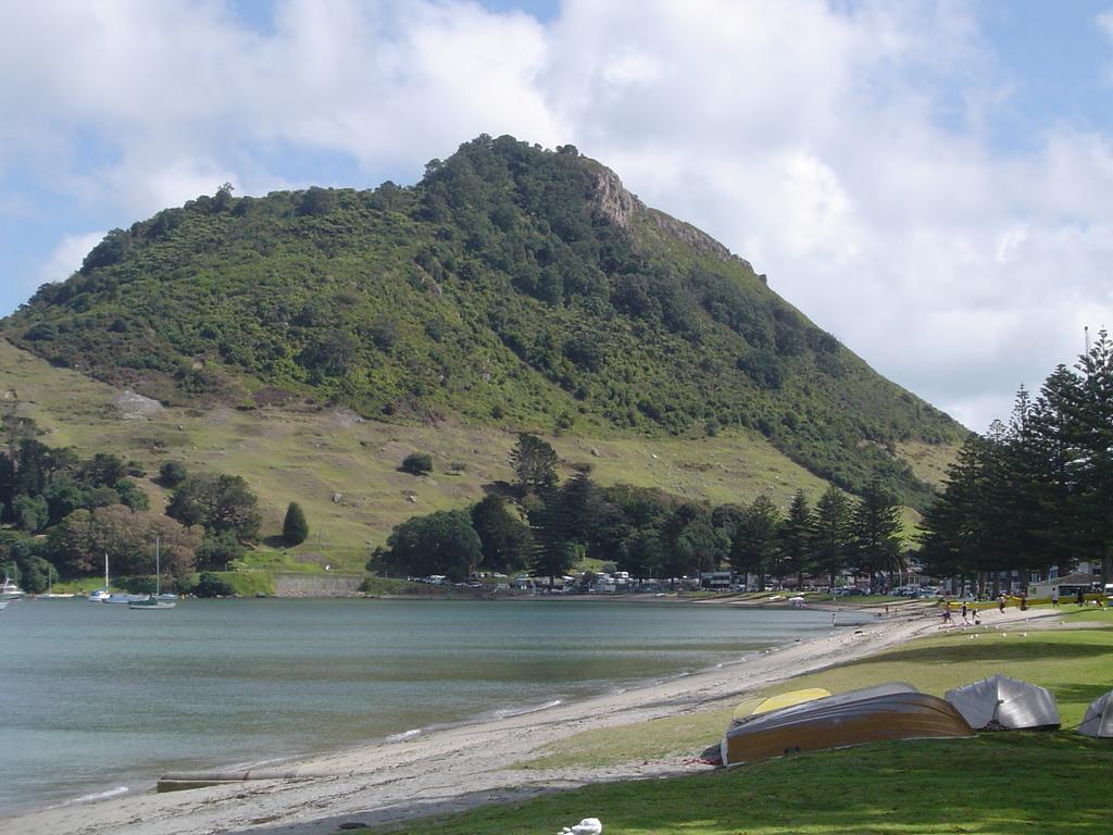 Seagulls Guesthouse Mount Maunganui Luaran gambar